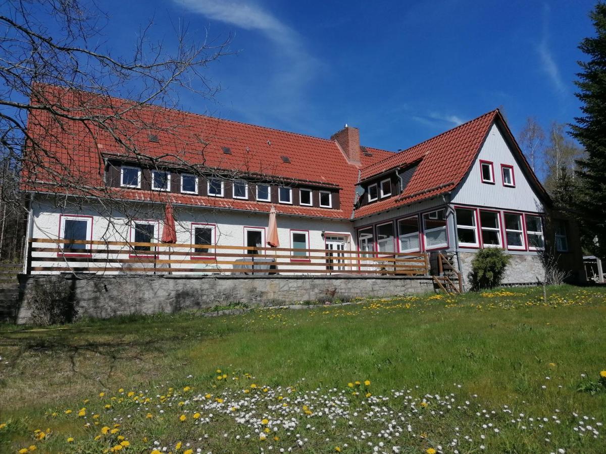 Villa Viriditas Эльбингероде Экстерьер фото